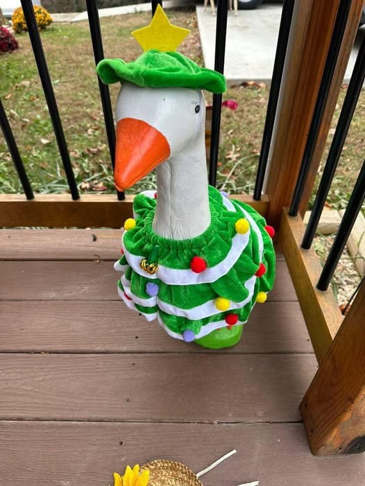 07/18/2026 (Saturday) - Porch Pelican or Goose: Paint, Style & Bingo 6PM